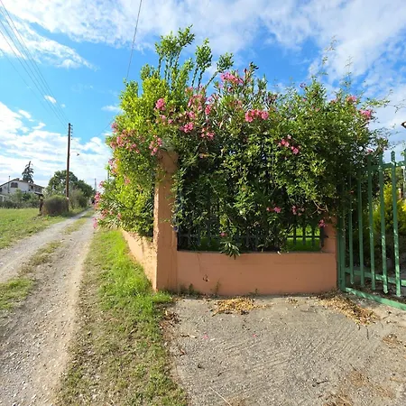 度假居 Thalori House